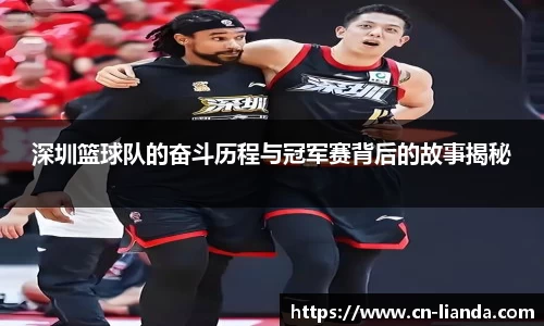 华体会hth登录入口